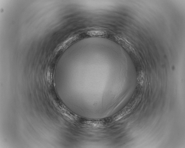 X0000086940763200705071418