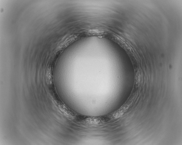 X0000086940764200705071418