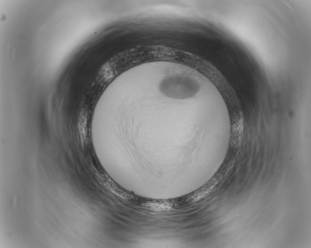 X0000086940765200705071418