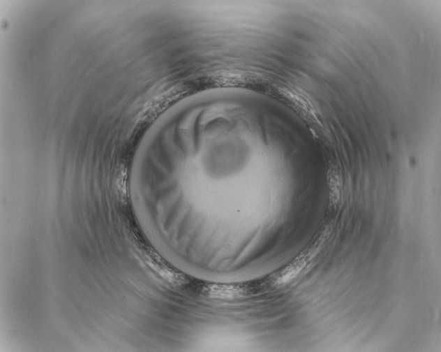 X0000086940766200705071418