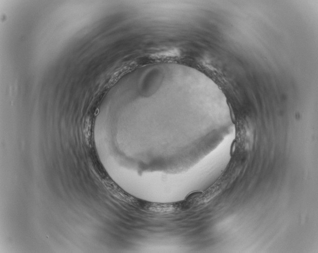 X0000086940767200705071418