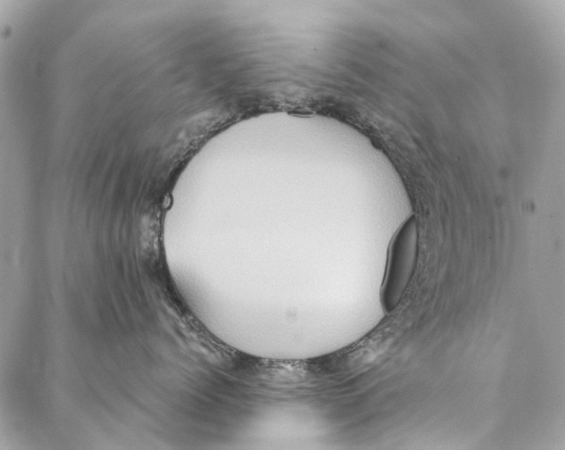 X0000086940768200705071418