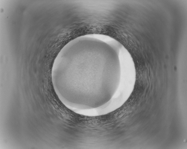 X0000086940769200705071417