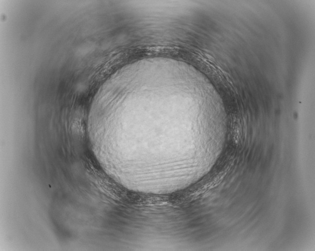 X0000086940770200705071417