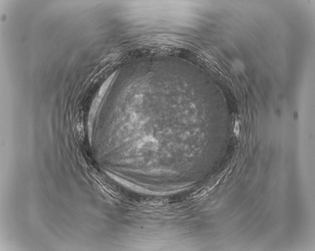 X0000086940771200705071417