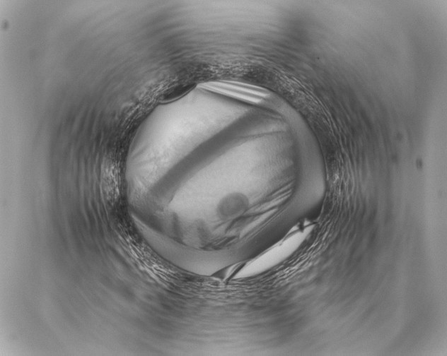 X0000086940772200705071417