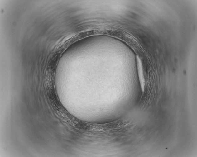 X0000086940773200705071417