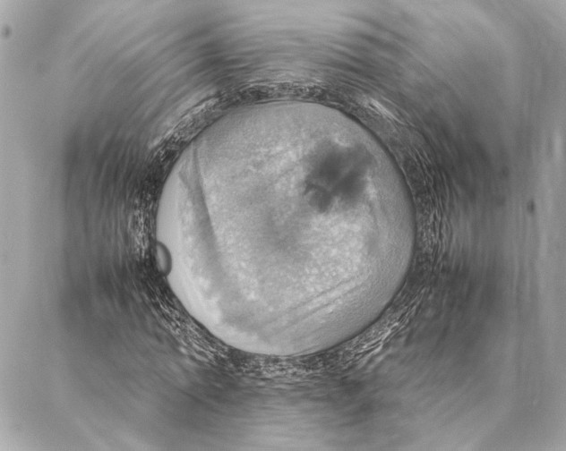 X0000086940774200705071417