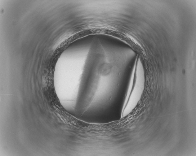 X0000086940775200705071417