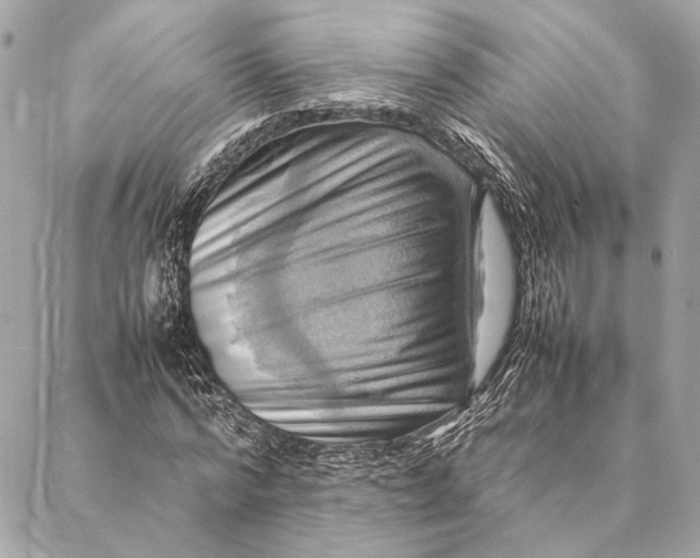 X0000086940776200705071417