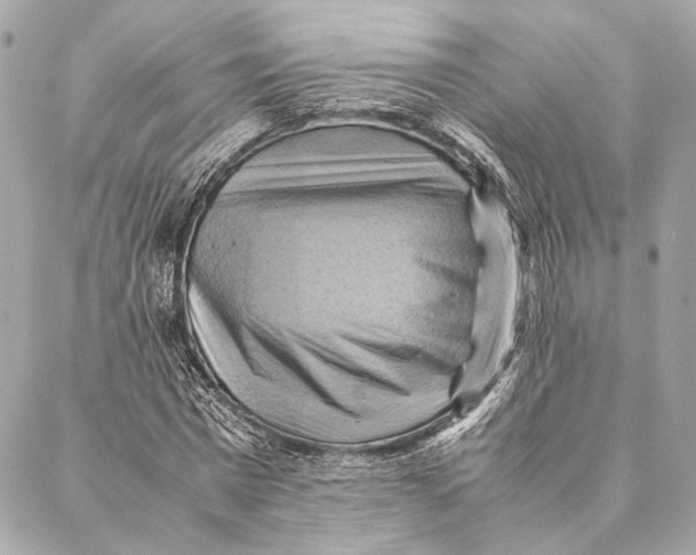 X0000086940777200705071417