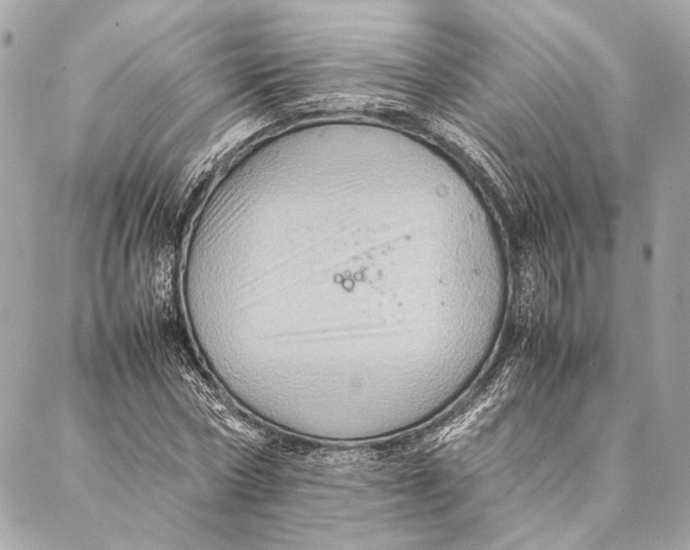 X0000086940778200705071417