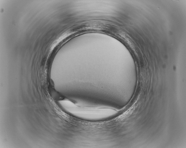 X0000086940779200705071417