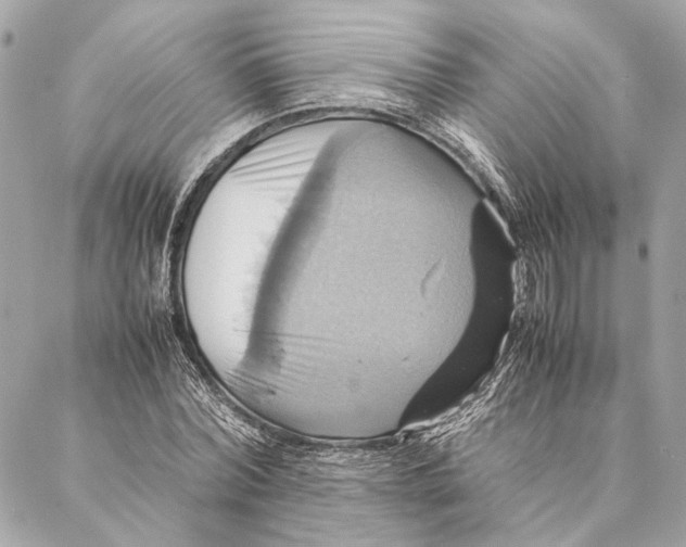 X0000086940780200705071417