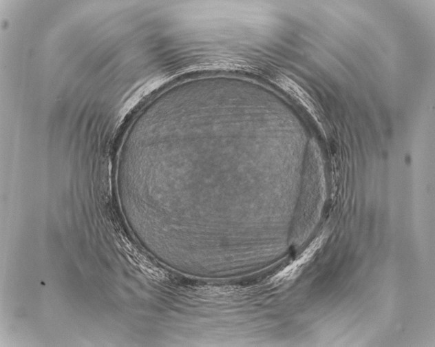 X0000086940781200705071417