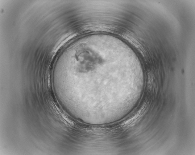 X0000086940782200705071417