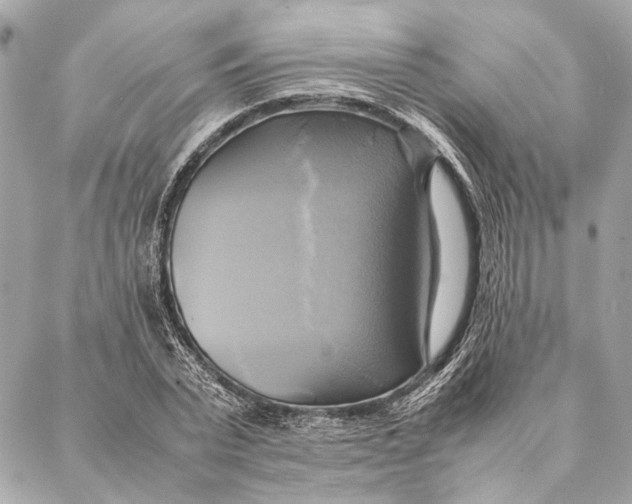 X0000086940783200705071417