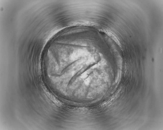 X0000086940784200705071417