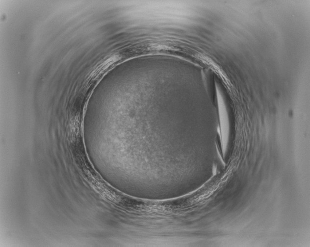 X0000086940785200705071417