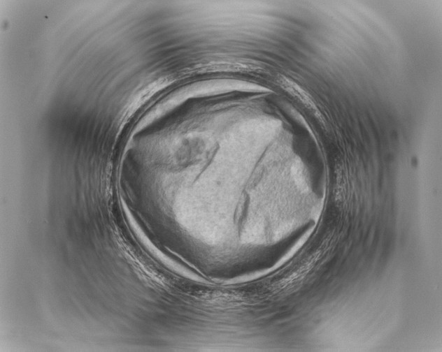 X0000086940786200705071417