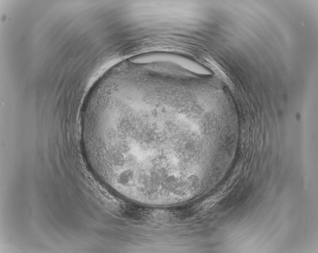 X0000086940787200705071417