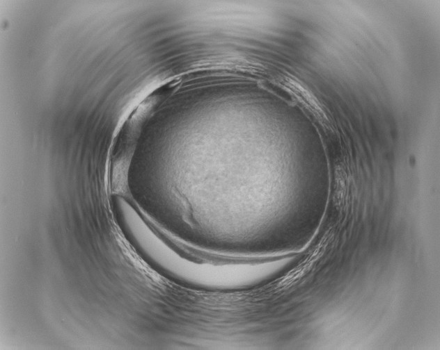 X0000086940788200705071417