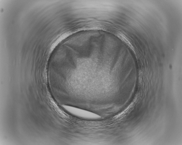 X0000086940789200705071417