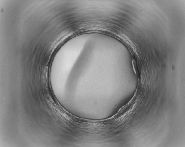 X0000086940790200705071417