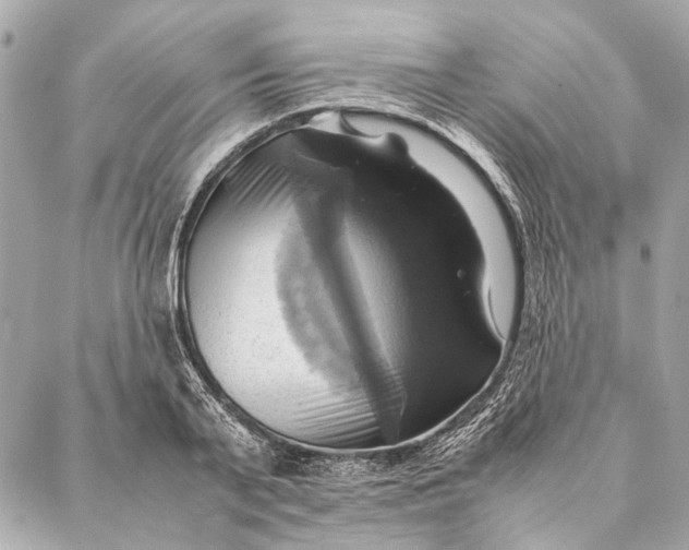 X0000086940791200705071417