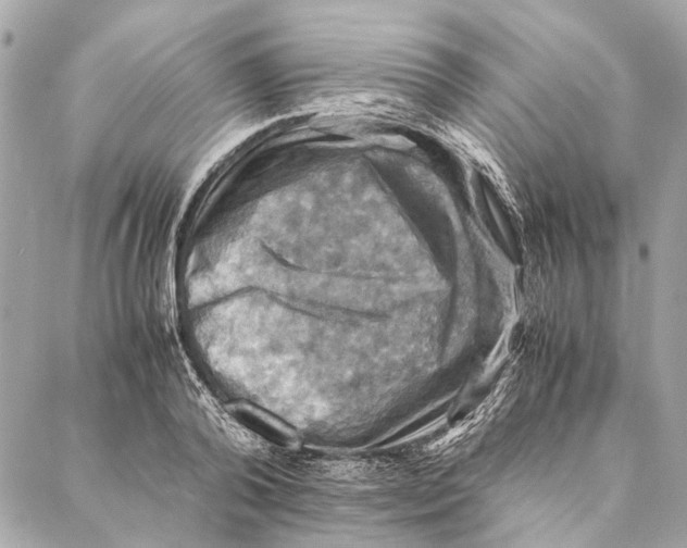 X0000086940792200705071417