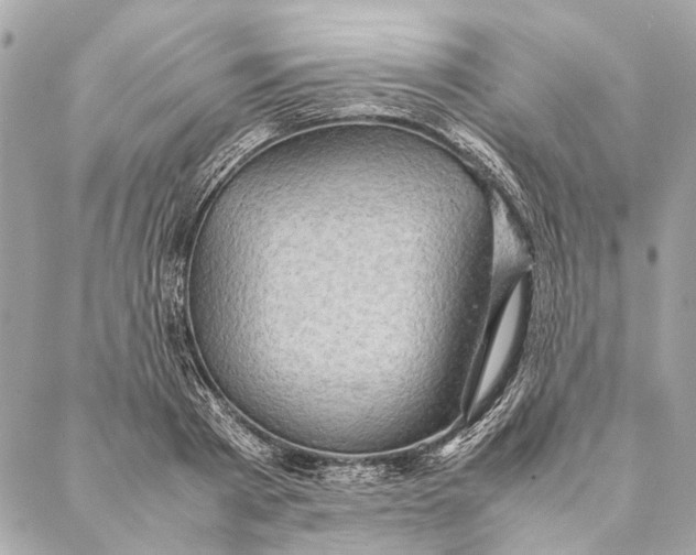 X0000086940793200705071417