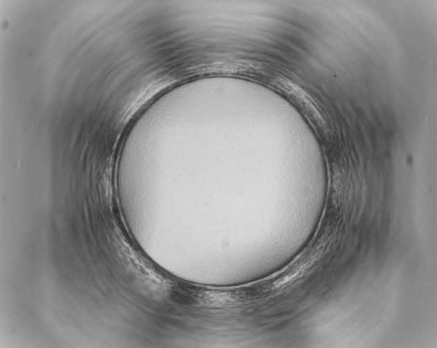 X0000086940794200705071417