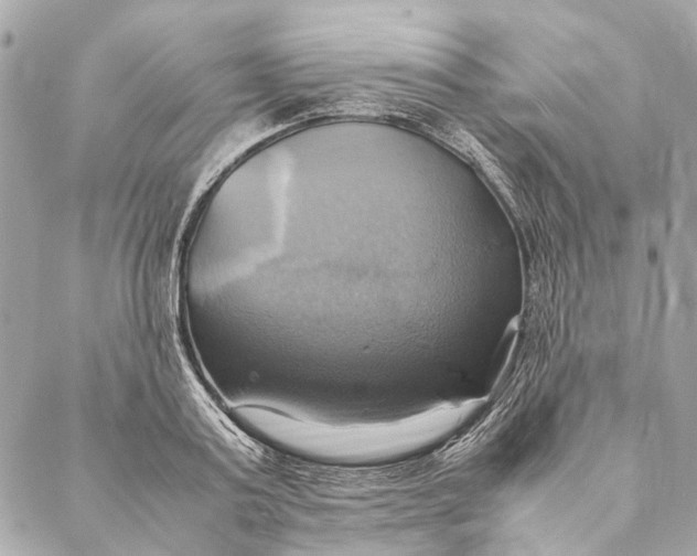 X0000086940795200705071417