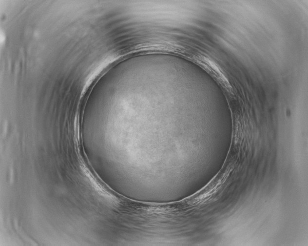 X0000086940796200705071417