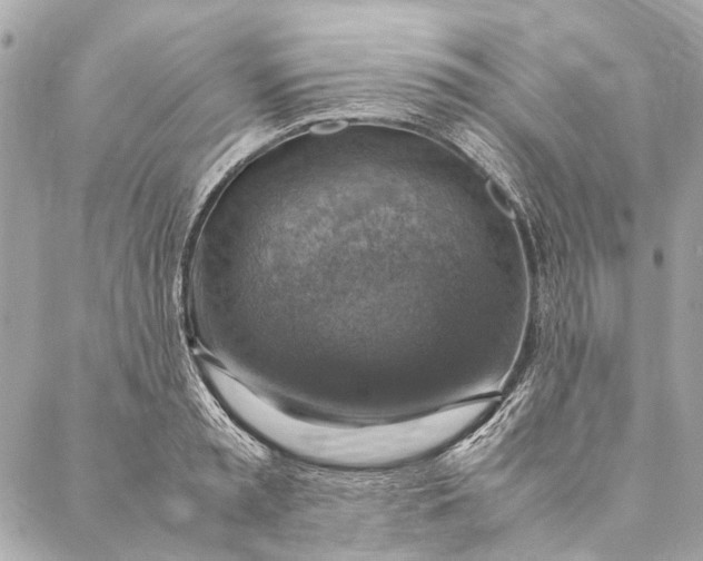 X0000086940797200705071417