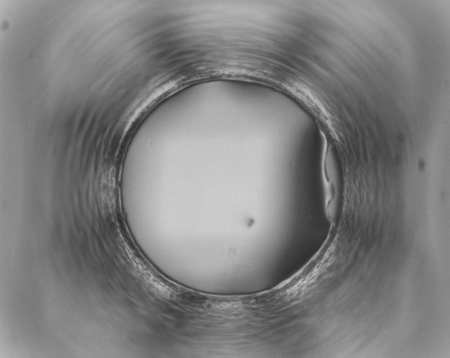 X0000086940798200705071417