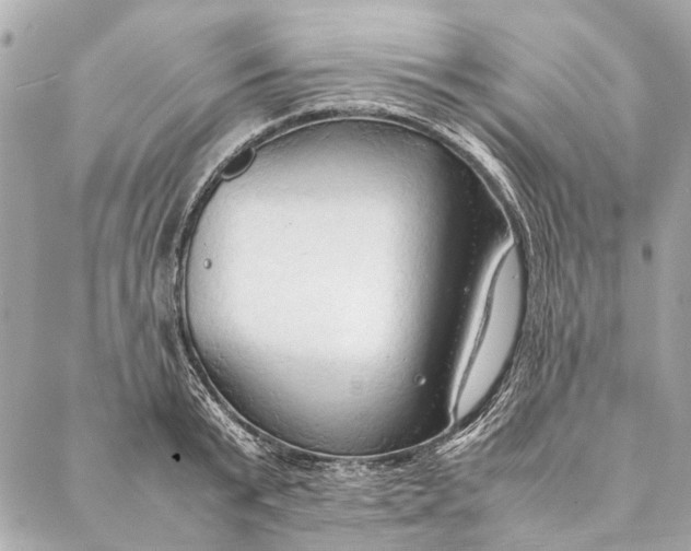 X0000086940799200705071417