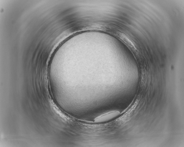 X0000086940800200705071417