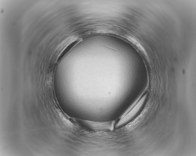 X0000086940801200705071417