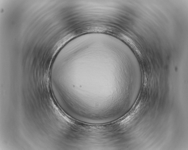 X0000086940802200705071417