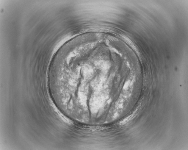 X0000086940803200705071417