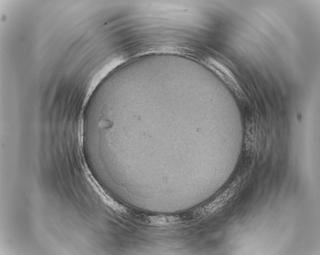 X0000086940804200705071417