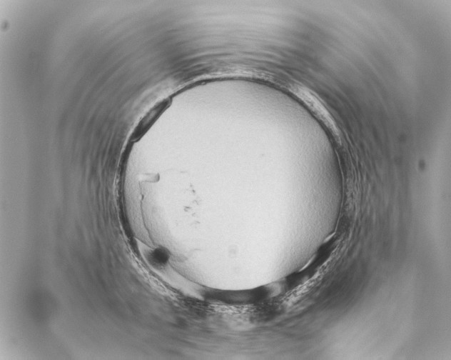 X0000086940805200705071417