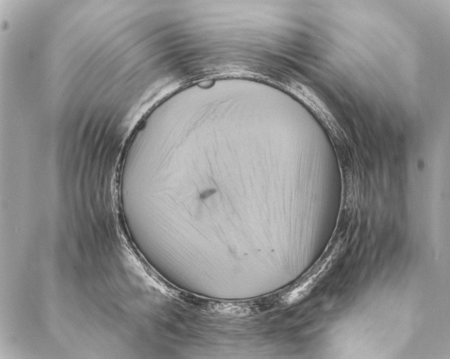 X0000086940806200705071416