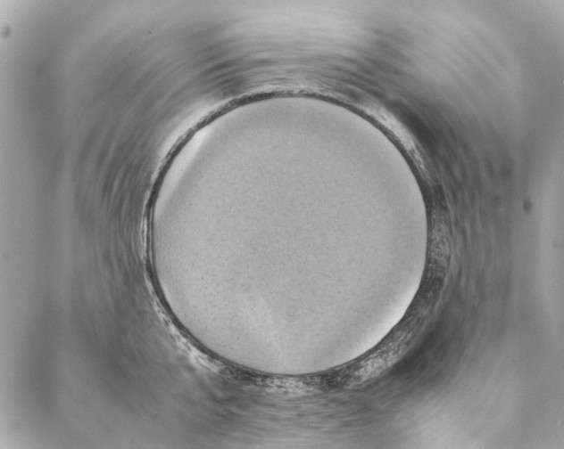 X0000086940807200705071416