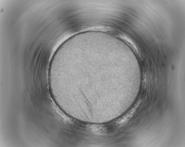 X0000086940808200705071416