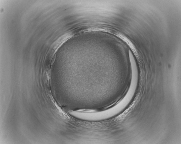 X0000086940809200705071416