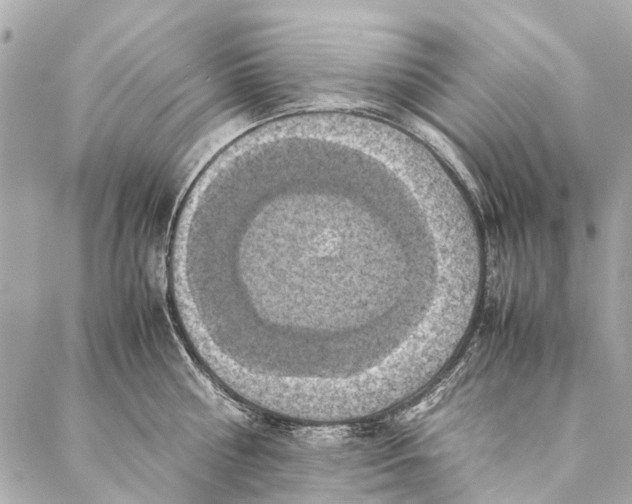 X0000086940810200705071416