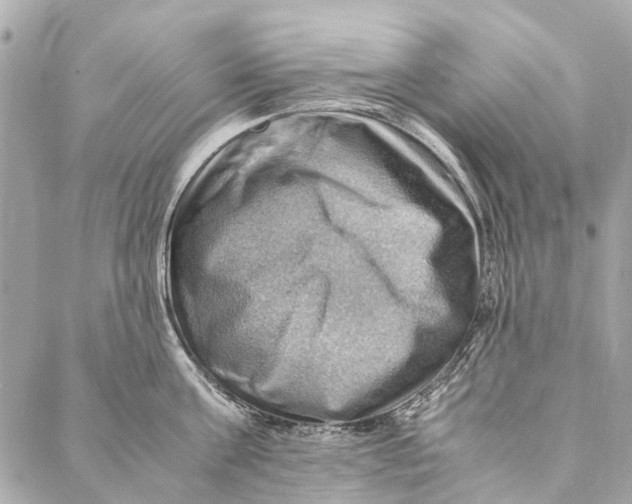 X0000086940811200705071416