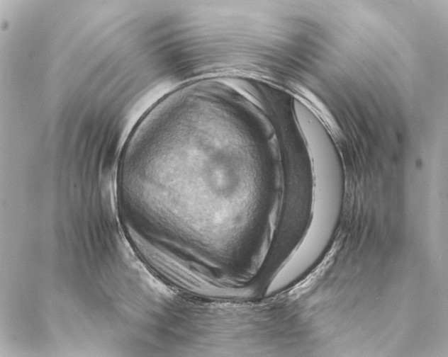 X0000086940812200705071416